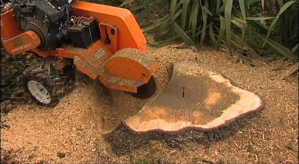 stump grinding utah